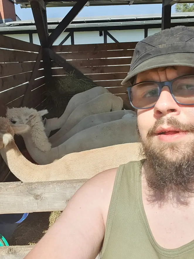 Michał Walczyk and Alpacas