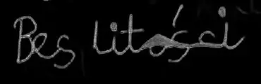 Bes litości — No Mercy Manuscript