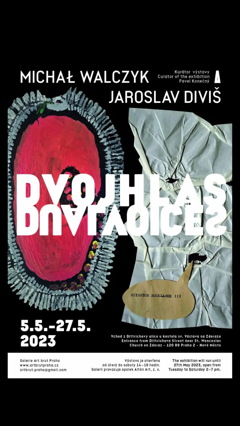 Poster for 'Dvojhlas / Dwugłos'